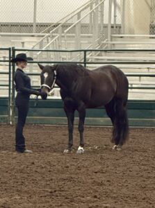 IMG_4461 - Eagle Ridge Equestrian